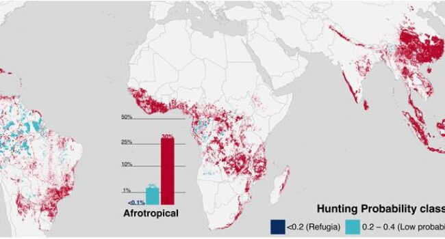 Elaboran los primeros mapas globales que muestran cómo se expande la caza y los efectos que provoca