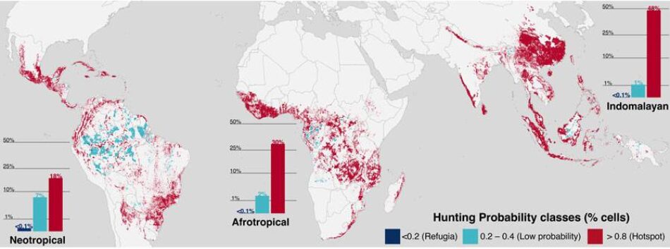 Elaboran los primeros mapas globales que muestran cómo se expande la caza y los efectos que provoca