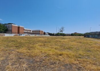 El Partido Verde traslada su plan bioclimático y exige soluciones específicas frente al calor extremo en Córdoba