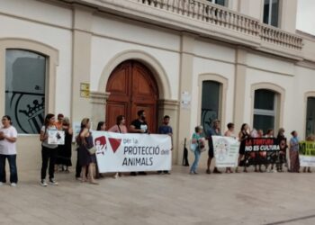 La Plataforma Antitaurina de Alfafar protestó el pasado sábado frente al Ayuntamiento en contra del toro embolado