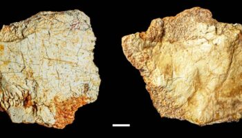 Hallan en el yacimiento de Ruidera un fósil craneal del género ‘Homo’ de 200 000 años