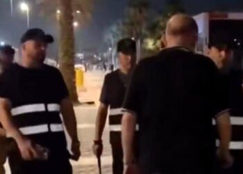 IU lleva al Congreso y pide a Interior que explique cómo va a actuar y si llevará a la Fiscalía el auge de “patrullas parapoliciales de extrema derecha en las calles” como las de Valencia 