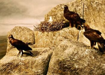 Alianza Verde exige a la Comisión Europea que no debilite las Directivas de Aves y Hábitats y advierte sobre los retrocesos en materia ambiental debido a la ola reaccionaria y negacionista global