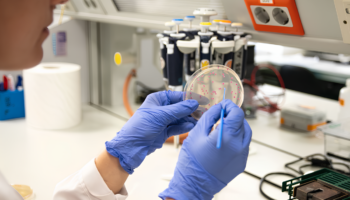 La evolución bacteriana no siempre sigue el camino más ventajoso, sino el más fácil