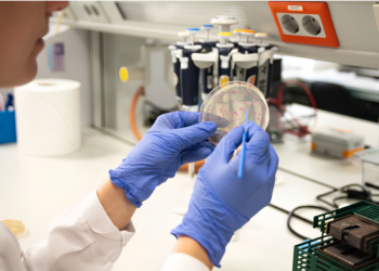 La evolución bacteriana no siempre sigue el camino más ventajoso, sino el más fácil