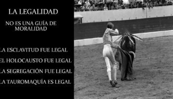 Los Verdes de Europa–Tarifa cuestionan el interés público de destinar cerca de 35.000 euros a una corrida de toros el 30 de agosto 2026