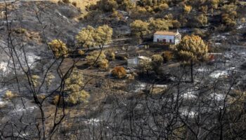 Los incendios forestales podrían quemar hasta un 192 % más de superficie en Europa a finales de siglo