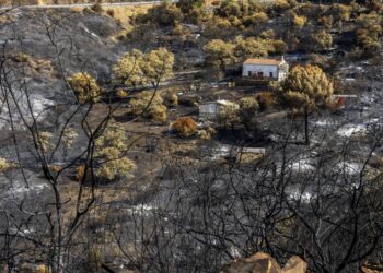 Los incendios forestales podrían quemar hasta un 192% más de superficie en Europa a finales de siglo