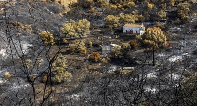 Los incendios forestales podrían quemar hasta un 192% más de superficie en Europa a finales de siglo