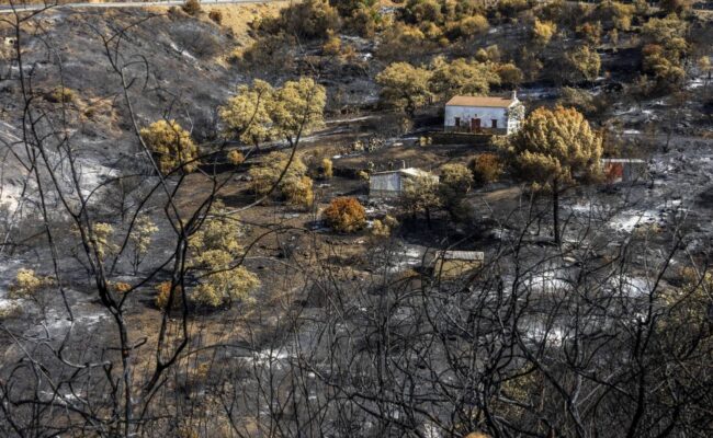 Los incendios forestales podrían quemar hasta un 192% más de superficie en Europa a finales de siglo