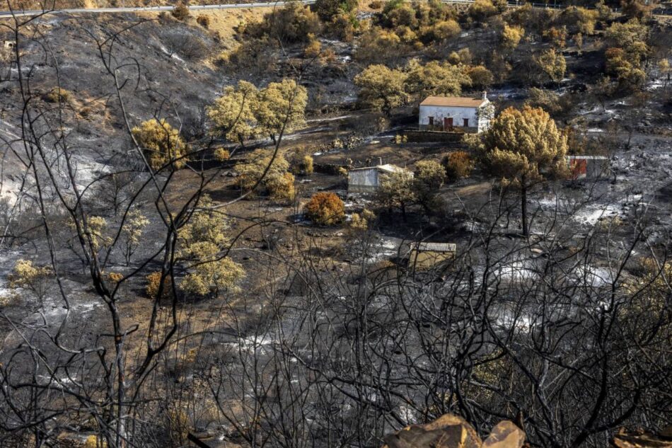 Los incendios forestales podrían quemar hasta un 192% más de superficie en Europa a finales de siglo