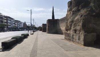 El Partido Verde censura la inacción municipal ante la emergencia climática y exige un giro verde radical en Córdoba