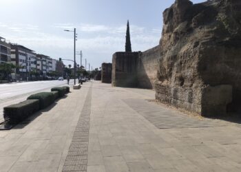 El Partido Verde censura la inacción municipal ante la emergencia climática y exige un giro verde radical en Córdoba