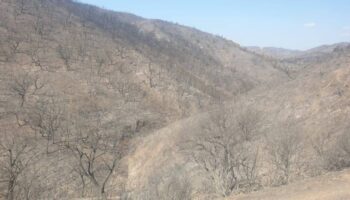 «El mayor incendio en Andalucía necesita actuaciones de reparación a la altura del desastre ocasionado»