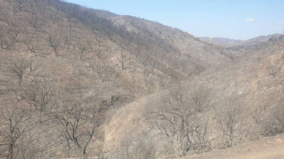 «El mayor incendio en Andalucía necesita actuaciones de reparación a la altura del desastre ocasionado»
