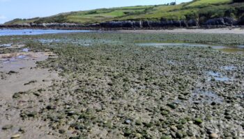 Vuelve a estar contaminada la playa de Bañugues en Gozón (Asturias)