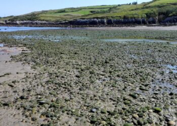 Vuelve a estar contaminada la playa de Bañugues en Gozón (Asturias)