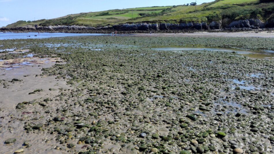Vuelve a estar contaminada la playa de Bañugues en Gozón (Asturias)