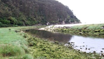 Denuncian contaminación en la playa de la Franca en Ribadedeva (Asturias)