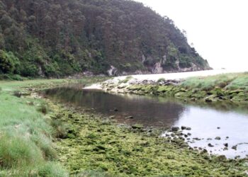 Denuncian contaminación en la playa de la Franca en Ribadedeva (Asturias)