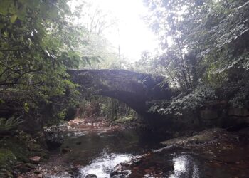 Denuncian posibles vertidos mineros al río Nonaya