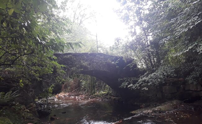 Denuncian posibles vertidos mineros al río Nonaya