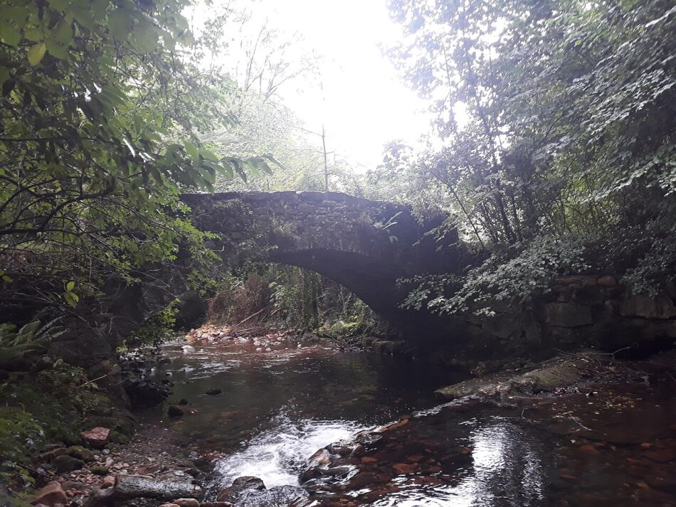 Denuncian posibles vertidos mineros al río Nonaya