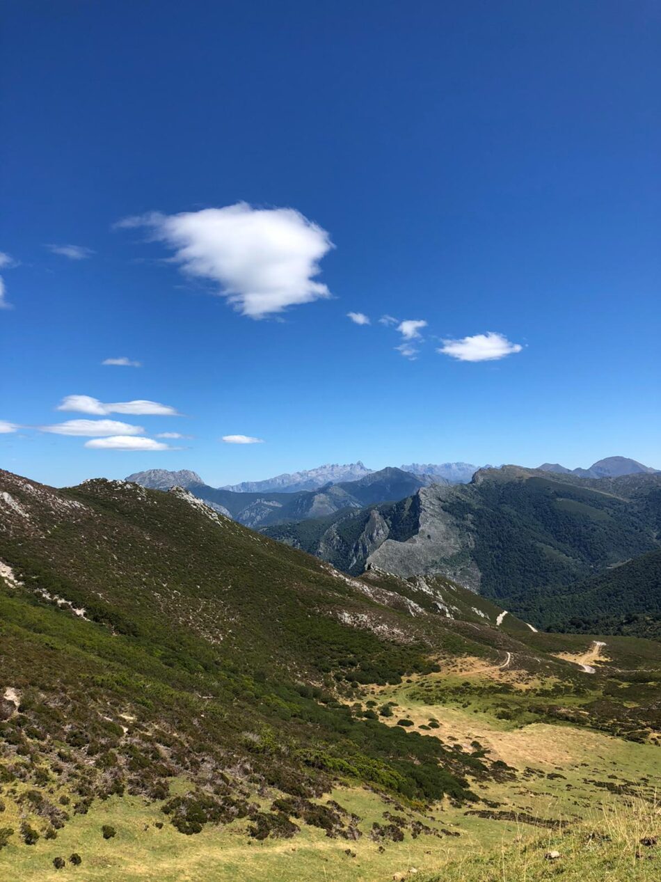 Coordinadora Ecoloxista d’Asturies se opone a una nueva pista a Ubales en el parque natural de Redes
