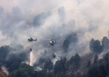 Incendios en el suroeste de Madrid y Ávila: drama ambiental, desregulación urbanística e impunidad