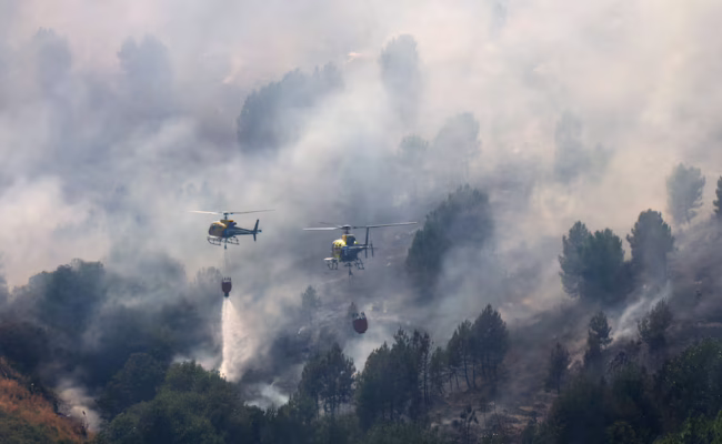 Incendios en el suroeste de Madrid y Ávila: drama ambiental, desregulación urbanística e impunidad