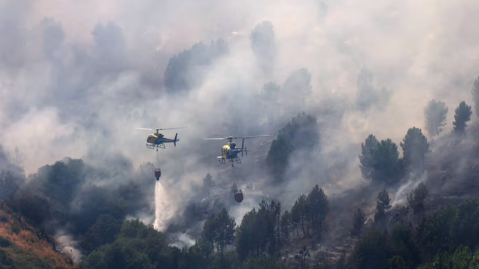 Incendios en el suroeste de Madrid y Ávila: drama ambiental, desregulación urbanística e impunidad