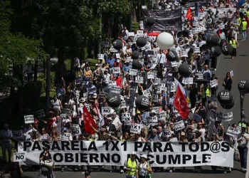 La ley de la pasarela al RETA, una escalera prestada de peldaños inalcanzables