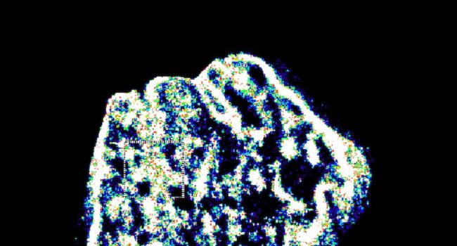 Sondas fluorescentes permiten obtener imágenes del ADN con una resolución insólita