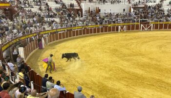 IU Tomelloso denuncia el despilfarro de dinero público en la tauromaquia y exige el fin de sus subvenciones