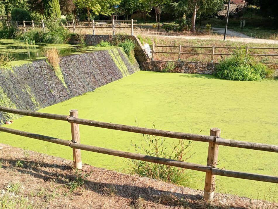 Denuncian la contaminación del río Pontiñas en Lalín (Pontevedra) y señalan la ganadería intensiva como una posible causa de la eutrofización de los cuerpos de agua en la región de Deza y zonas vecinas