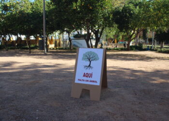 La Asociación de Educación ambiental El Brote y Ecologistas en Acción presentan una batería de enmiendas al Plan Director de Arbolado de Córdoba
