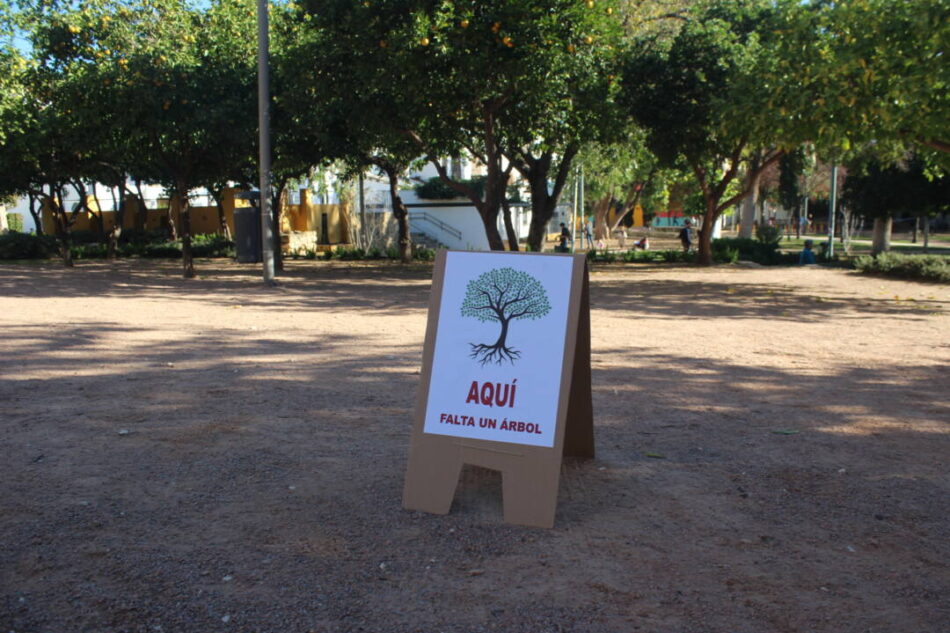 La Asociación de Educación ambiental El Brote y Ecologistas en Acción presentan una batería de enmiendas al Plan Director de Arbolado de Córdoba
