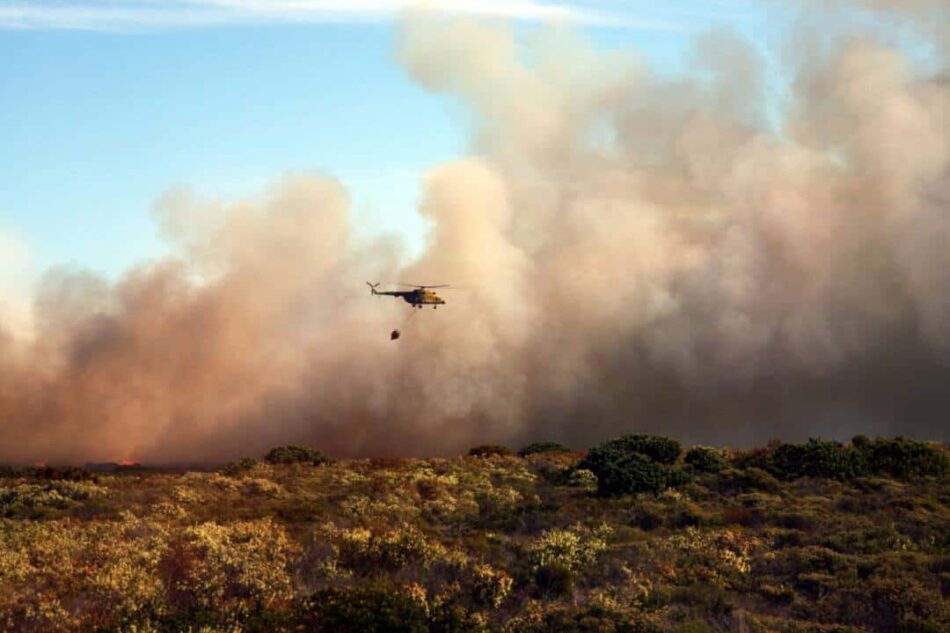 Ecologistas denuncia la negligencia de la Comunidad de Madrid ante la pérdida de biodiversidad provocada por los incendios
