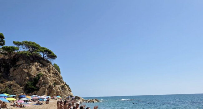 El CCN cierra en Cala Vinyeta, en Calella, la campaña de verano para reivindicar las playas de tradición nudista