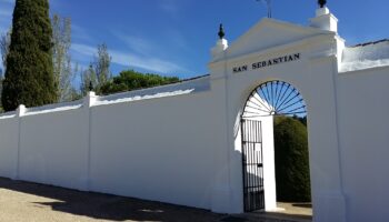 Concluyen los trabajos de exhumación de la fosa de San Sebastián de Aracena con 17 cuerpos recuperados
