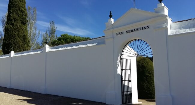 Concluyen los trabajos de exhumación de la fosa de San Sebastián de Aracena con 17 cuerpos recuperados