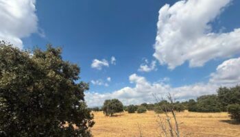 Piden la retirada del proyecto de urbanización de los Altos de la Navata, en Galapagar