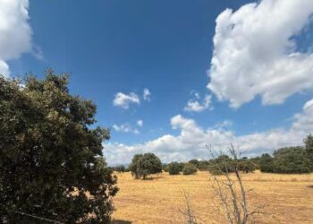 Piden la retirada del proyecto de urbanización de los Altos de la Navata, en Galapagar