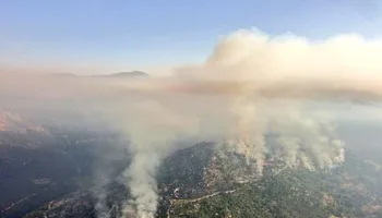 Exigen a la Junta de Castilla y León que no adelante la caza en los montes calcinados por los incendios