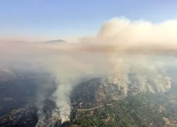 Exigen a la Junta de Castilla y León que no adelante la caza en los montes calcinados por los incendios