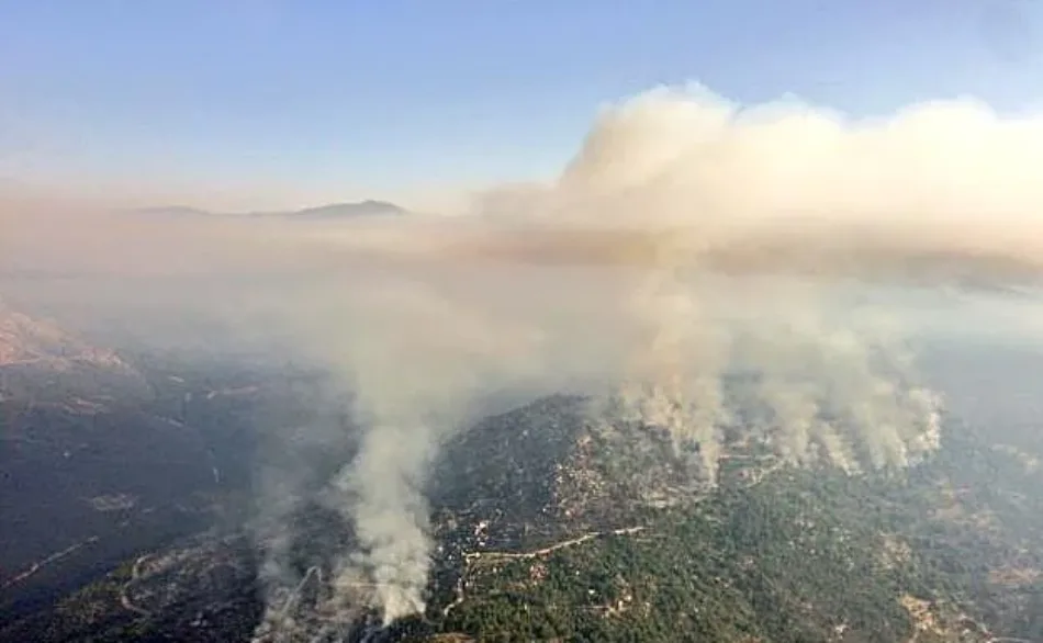 Exigen a la Junta de Castilla y León que no adelante la caza en los montes calcinados por los incendios