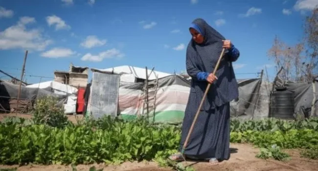 Palestina: Un pueblo arraigado en la tierra, una memoria que resiste