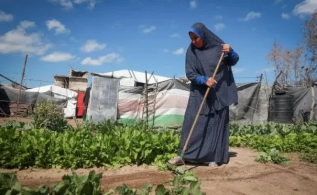 Palestina: Un pueblo arraigado en la tierra, una memoria que resiste
