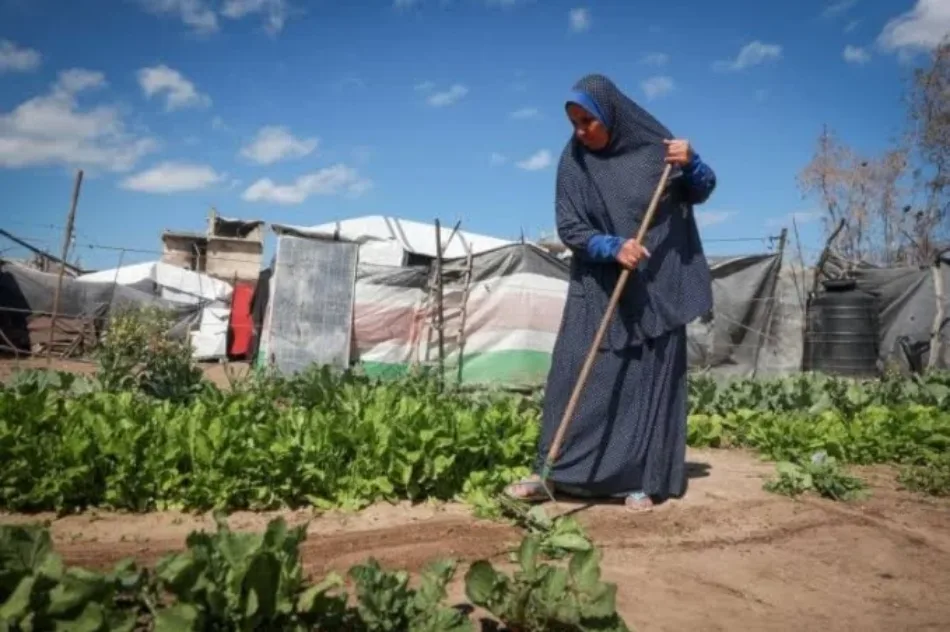 Palestina: Un pueblo arraigado en la tierra, una memoria que resiste