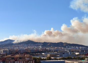 Barcelona eleva a fase de emergencia el Plan de Actuación Municipal por el incendio de Collserola